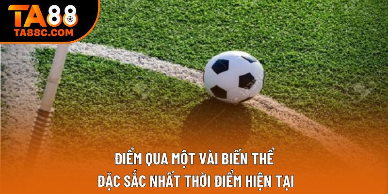 Điểm qua một vài biến thể đặc sắc nhất thời điểm hiện tại