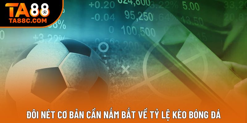 Đôi nét cơ bản cần nắm bắt về tỷ lệ kèo bóng đá Đôi nét cơ bản cần nắm bắt về tỷ lệ kèo bóng đá