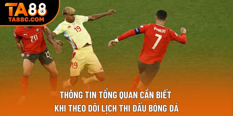 Thông tin tổng quan cần biết khi theo dõi lịch thi đấu bóng đá